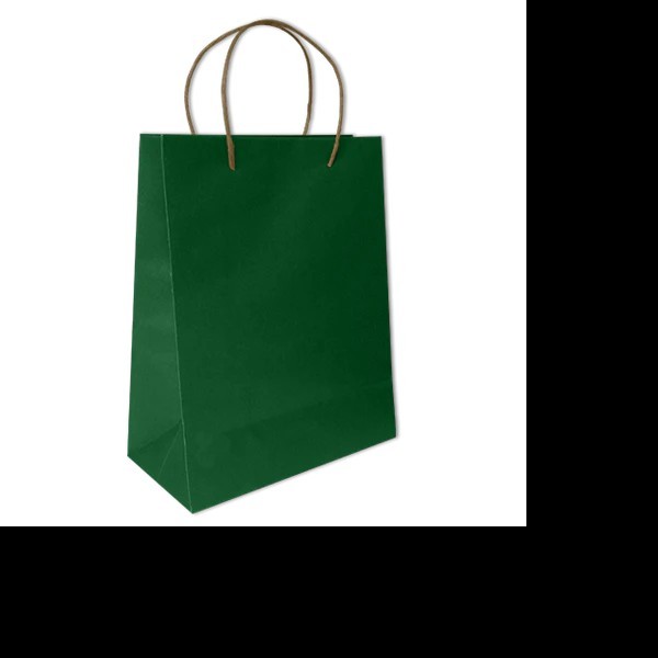 BOLSA BOND MEDIANA VERDE BANDERA VM E.12